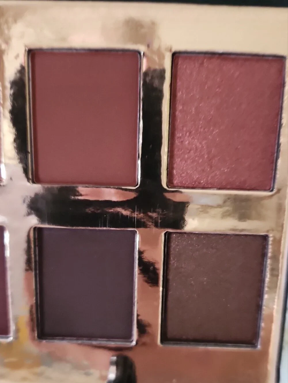 Crown Pro 10 Eyeshadow Colors In the Fuego Collction